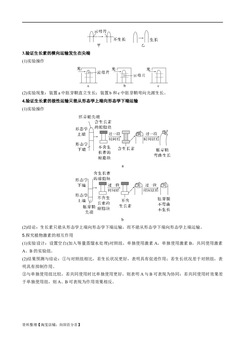 专题08植物生命活动调节（解析版）_新高考复习资料_2024年新高考复习资料_❤专项复习资料_2024年高考生物热点&middot;重点&middot;难点专练（新高考专用）_教师版（含答案解析）