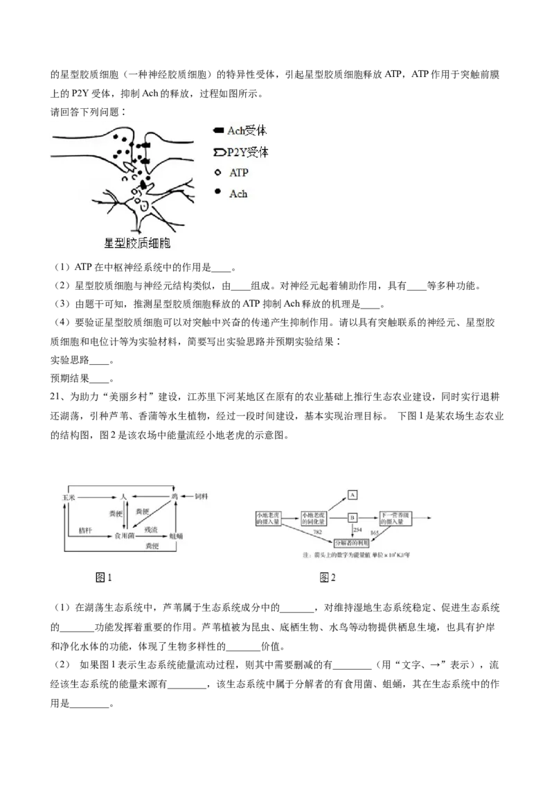 黄金卷04（考试版）-赢在高考&middot;黄金8卷备战2024年高考生物模拟卷（河北专用）_2024年新高考资料_4.2024高考模拟预测试卷