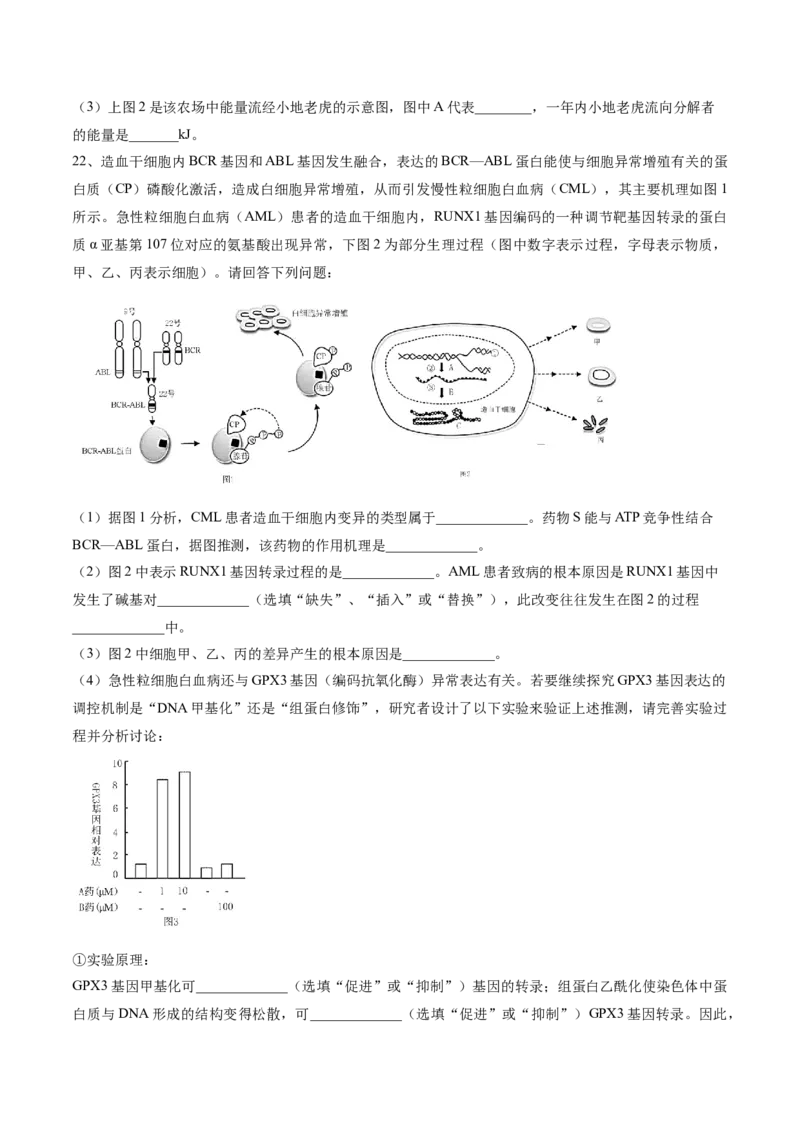 黄金卷04（考试版）-赢在高考&middot;黄金8卷备战2024年高考生物模拟卷（河北专用）_2024年新高考资料_4.2024高考模拟预测试卷