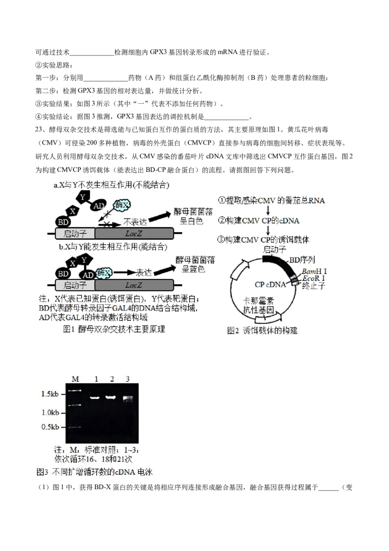 黄金卷04（考试版）-赢在高考&middot;黄金8卷备战2024年高考生物模拟卷（河北专用）_2024年新高考资料_4.2024高考模拟预测试卷