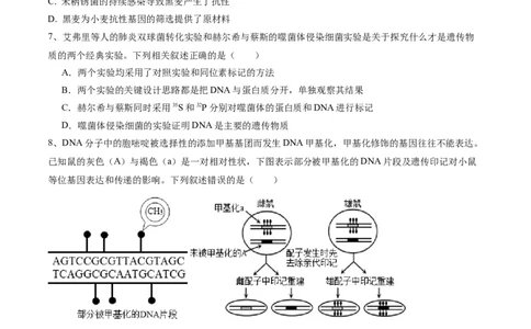 黄金卷04（考试版）-赢在高考&middot;黄金8卷备战2024年高考生物模拟卷（河北专用）_2024年新高考资料_4.2024高考模拟预测试卷