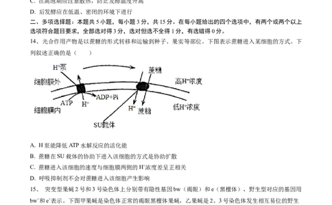 黄金卷04（考试版）-赢在高考&middot;黄金8卷备战2024年高考生物模拟卷（河北专用）_2024年新高考资料_4.2024高考模拟预测试卷