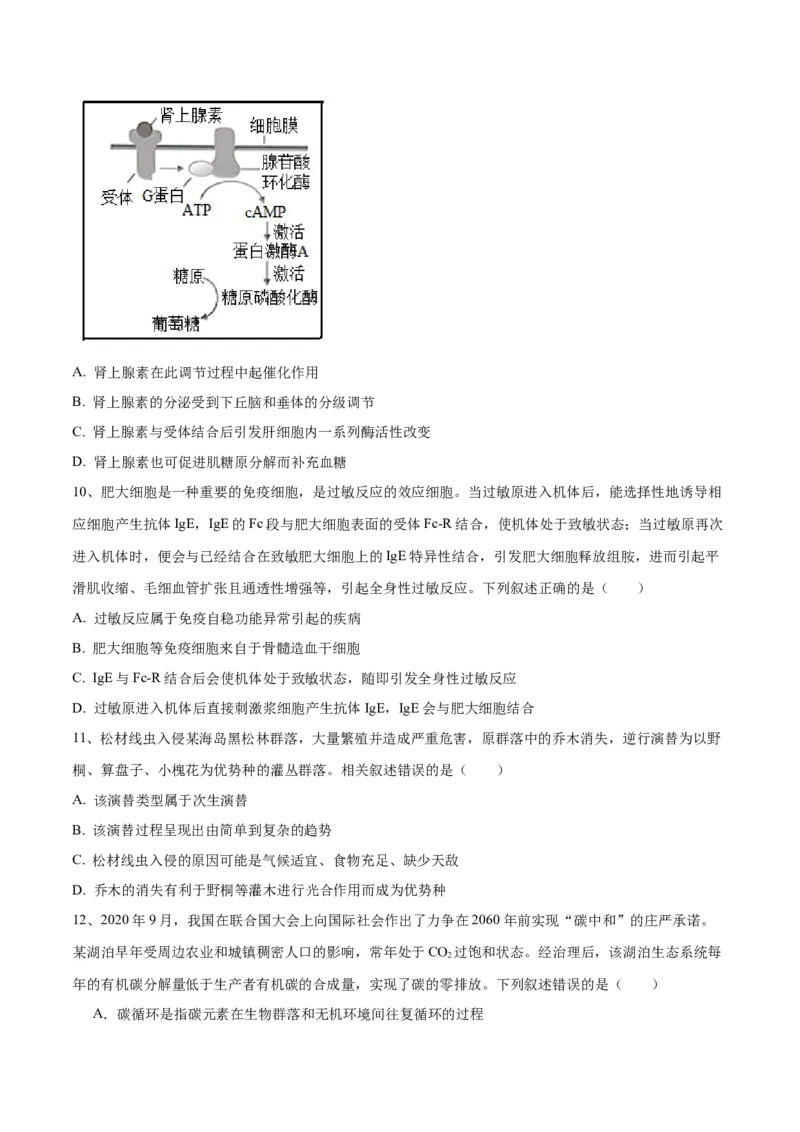 黄金卷06（考试版）-赢在高考&middot;黄金8卷备战2024年高考生物模拟卷（河北专用）_2024年新高考资料_4.2024高考模拟预测试卷