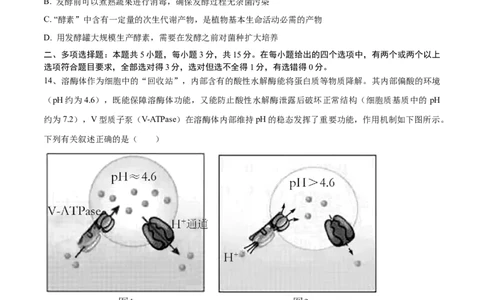黄金卷06（考试版）-赢在高考&middot;黄金8卷备战2024年高考生物模拟卷（河北专用）_2024年新高考资料_4.2024高考模拟预测试卷