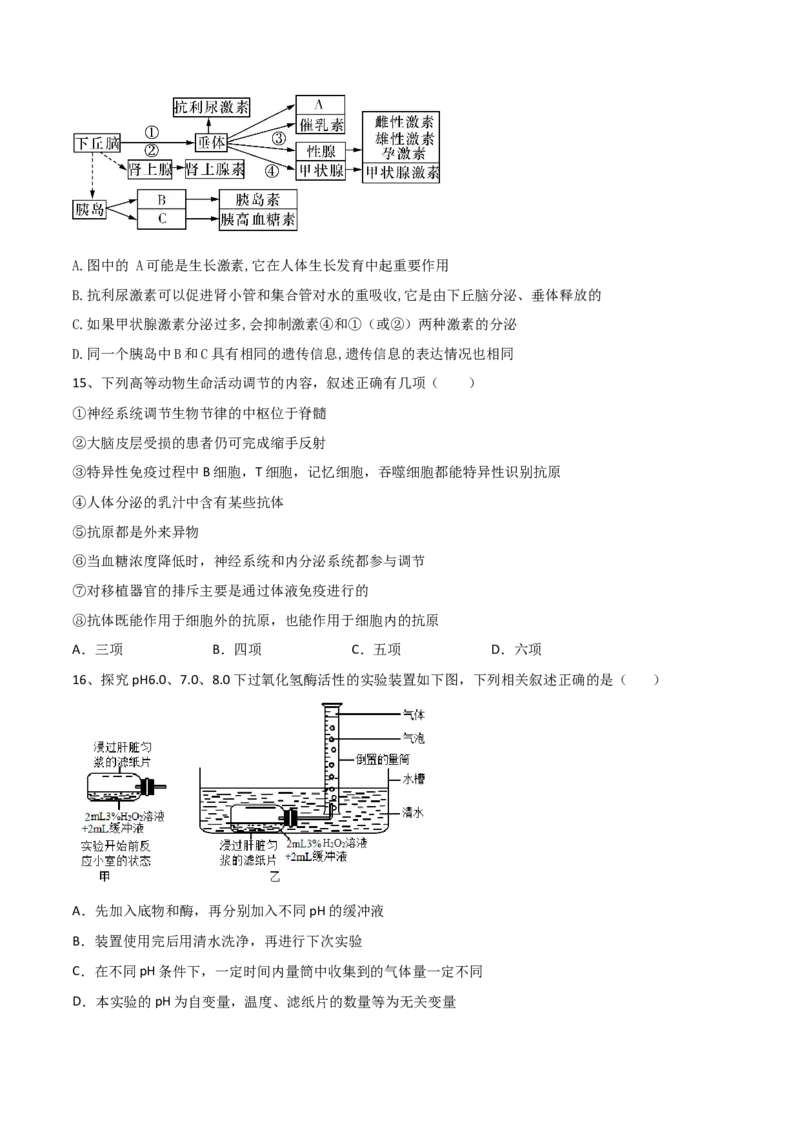 黄金卷05（考试版）-赢在高考&middot;黄金8卷备战2024年高考生物模拟卷（湖北专用）_2024年新高考资料_4.2024高考模拟预测试卷