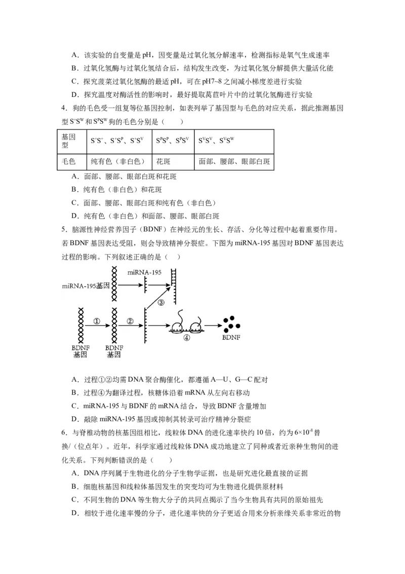 黄金卷06（考试版）-赢在高考&middot;黄金8卷备战2024年高考生物模拟卷（天津专用）_2024年新高考资料_4.2024高考模拟预测试卷