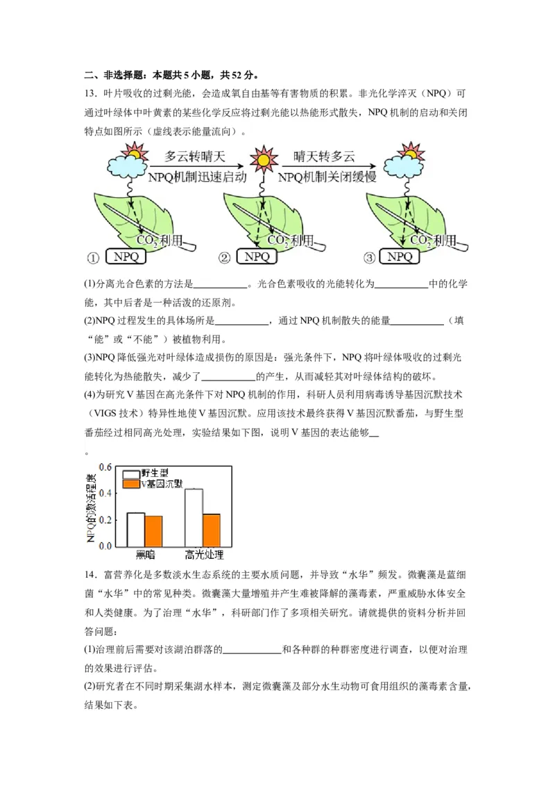 黄金卷06（考试版）-赢在高考&middot;黄金8卷备战2024年高考生物模拟卷（天津专用）_2024年新高考资料_4.2024高考模拟预测试卷
