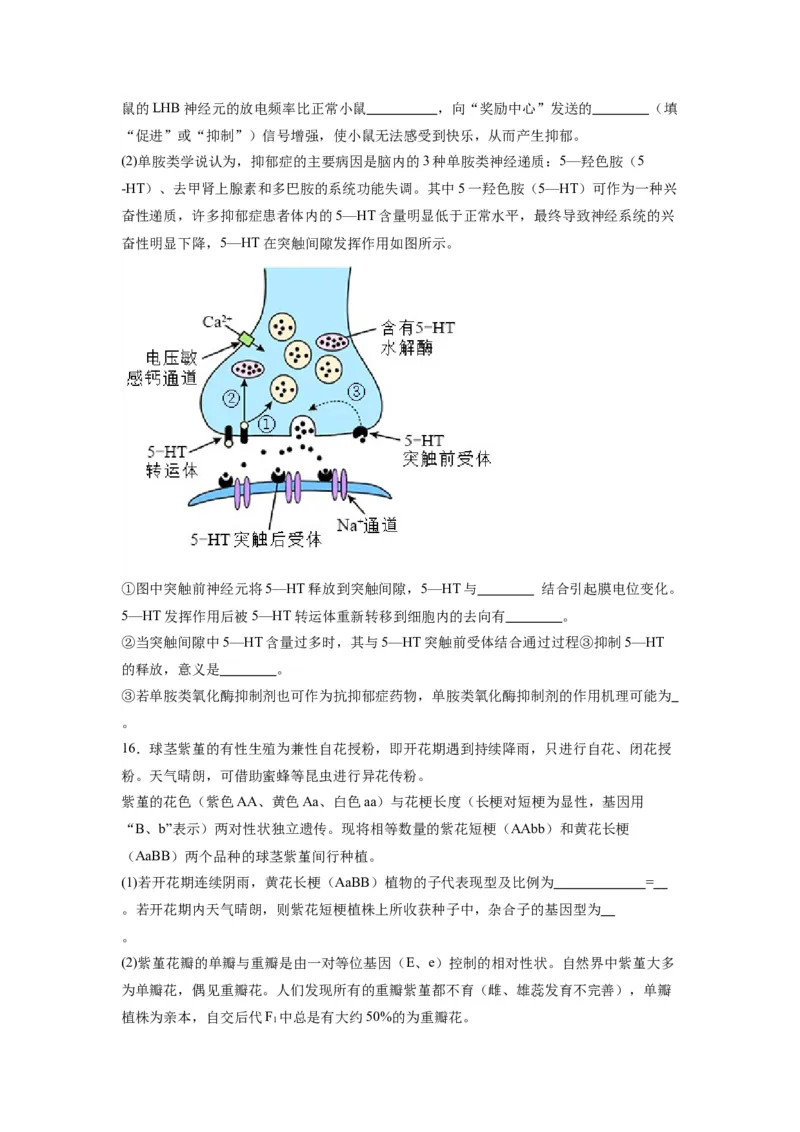 黄金卷06（考试版）-赢在高考&middot;黄金8卷备战2024年高考生物模拟卷（天津专用）_2024年新高考资料_4.2024高考模拟预测试卷