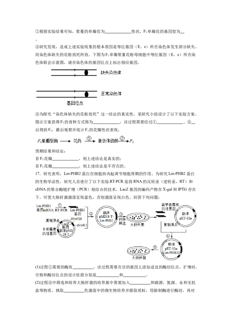 黄金卷06（考试版）-赢在高考&middot;黄金8卷备战2024年高考生物模拟卷（天津专用）_2024年新高考资料_4.2024高考模拟预测试卷