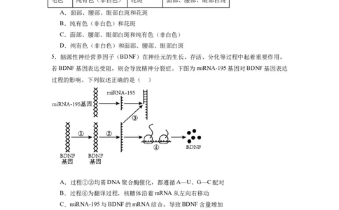 黄金卷06（考试版）-赢在高考&middot;黄金8卷备战2024年高考生物模拟卷（天津专用）_2024年新高考资料_4.2024高考模拟预测试卷