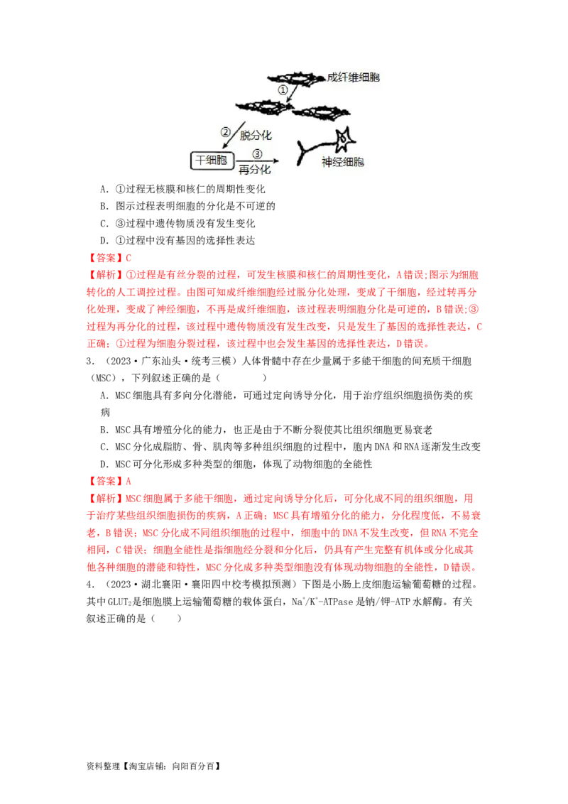 专题11细胞的分化、衰老与死亡（解析版）_通用版（老高考）复习资料_2024年复习资料_完备战2024年高考生物一轮复习抢分特训（全国通用）_教师版（含答案解析）