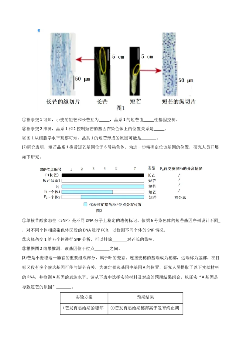 黄金卷03（解析版）-赢在高考&middot;黄金8卷备战2024年高考生物模拟卷（北京专用）_2024年新高考资料_4.2024高考模拟预测试卷