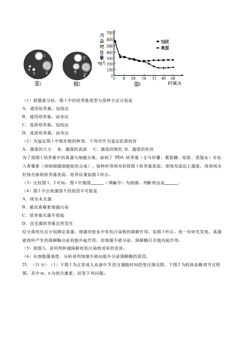 黄金卷04（考试版）-赢在高考&middot;黄金8卷备战2024年高考生物模拟卷（辽宁专用）_2024年新高考资料_4.2024高考模拟预测试卷