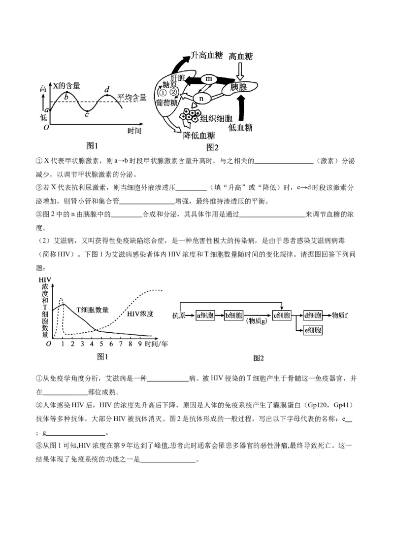 黄金卷04（考试版）-赢在高考&middot;黄金8卷备战2024年高考生物模拟卷（辽宁专用）_2024年新高考资料_4.2024高考模拟预测试卷