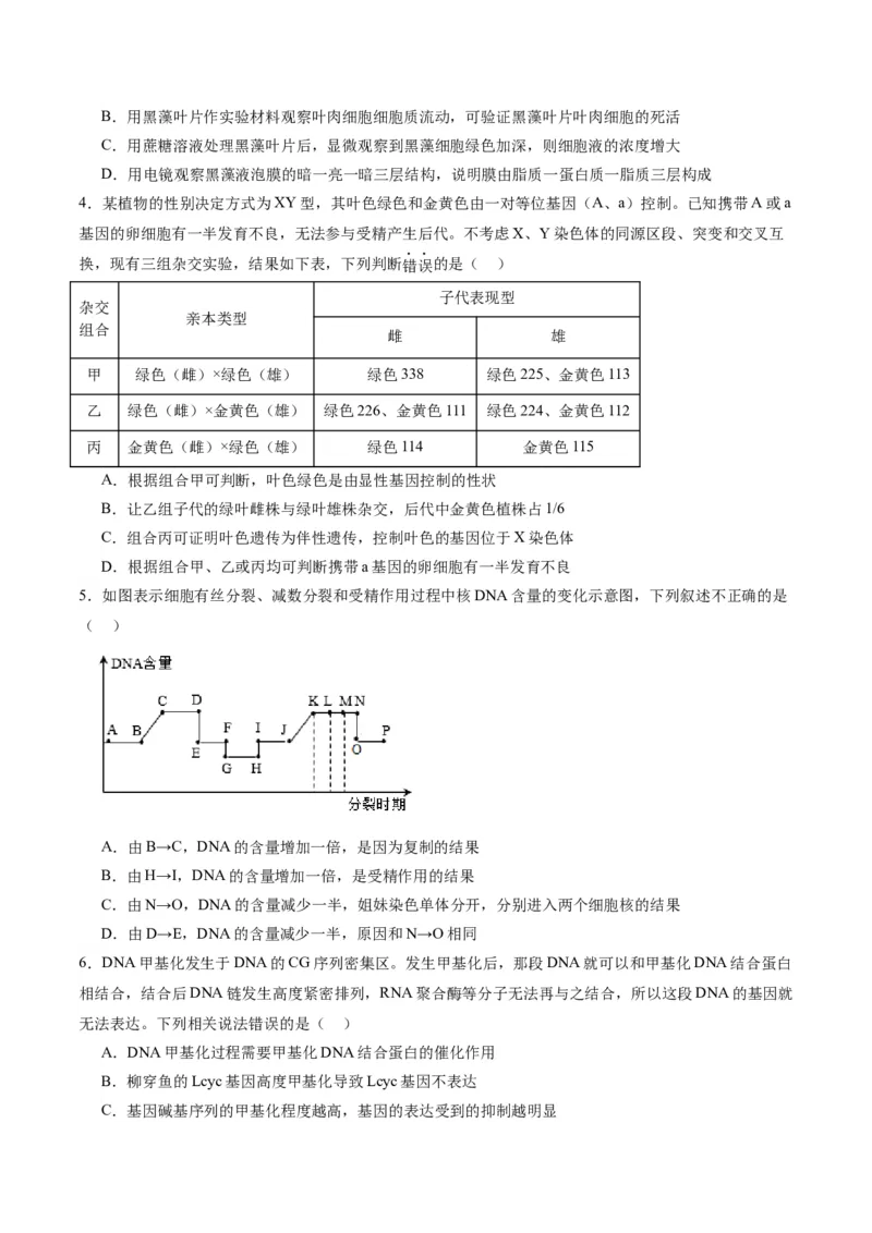 黄金卷04（考试版）-赢在高考&middot;黄金8卷备战2024年高考生物模拟卷（辽宁专用）_2024年新高考资料_4.2024高考模拟预测试卷