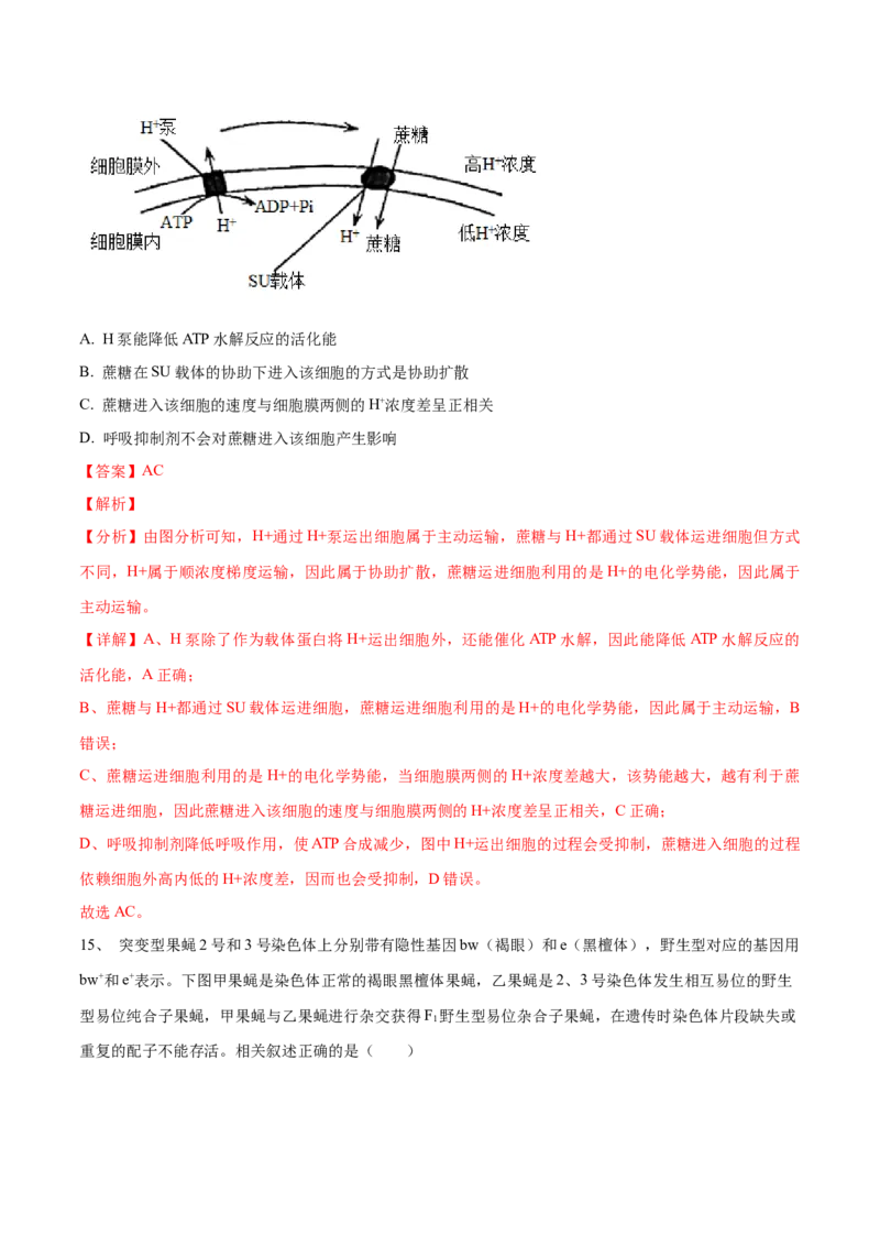 黄金卷04（解析版）-赢在高考&middot;黄金8卷备战2024年高考生物模拟卷（河北专用）_2024年新高考资料_4.2024高考模拟预测试卷