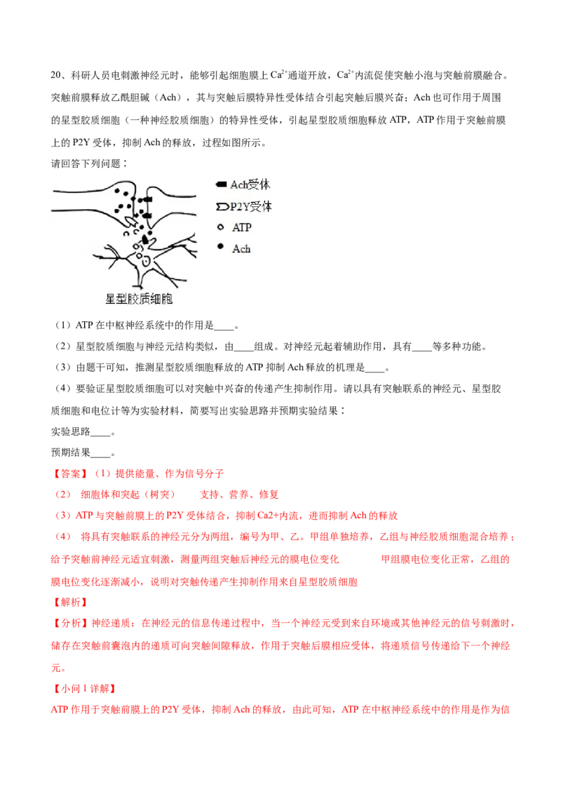 黄金卷04（解析版）-赢在高考&middot;黄金8卷备战2024年高考生物模拟卷（河北专用）_2024年新高考资料_4.2024高考模拟预测试卷
