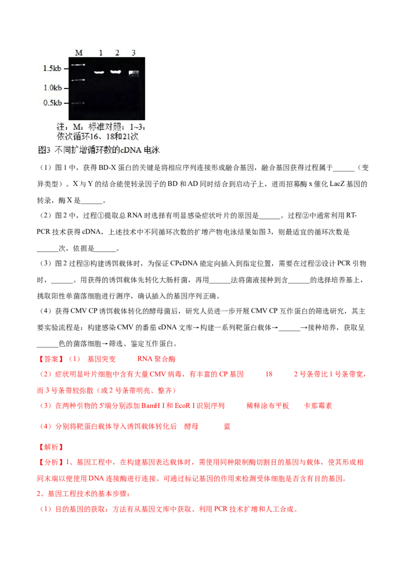 黄金卷04（解析版）-赢在高考&middot;黄金8卷备战2024年高考生物模拟卷（河北专用）_2024年新高考资料_4.2024高考模拟预测试卷
