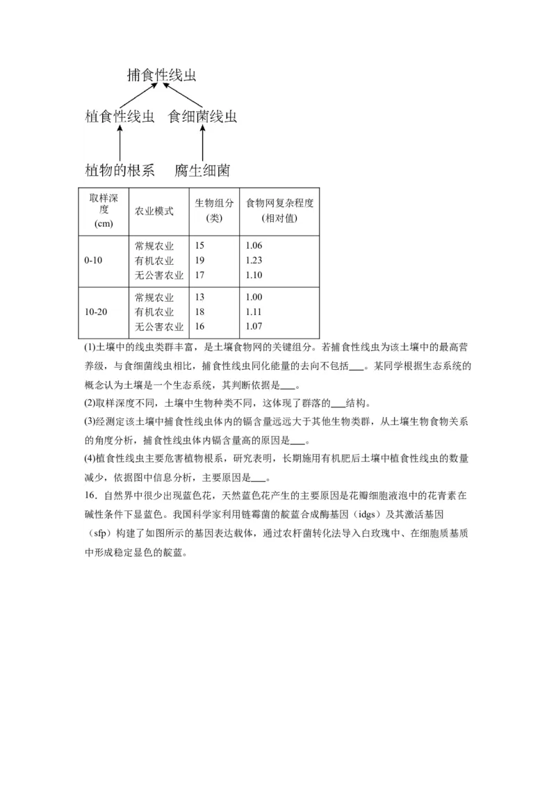 黄金卷07（考试版）-赢在高考&middot;黄金8卷备战2024年高考生物模拟卷（天津专用）_2024年新高考资料_4.2024高考模拟预测试卷