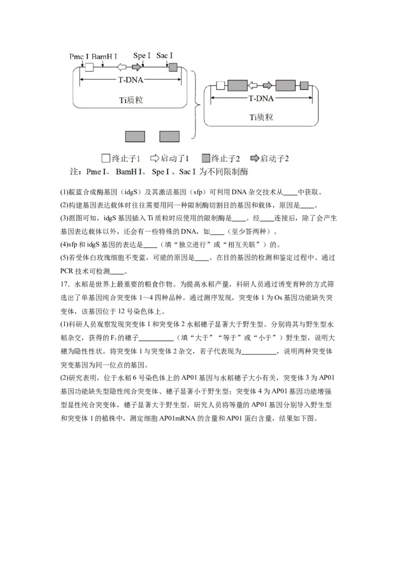 黄金卷07（考试版）-赢在高考&middot;黄金8卷备战2024年高考生物模拟卷（天津专用）_2024年新高考资料_4.2024高考模拟预测试卷