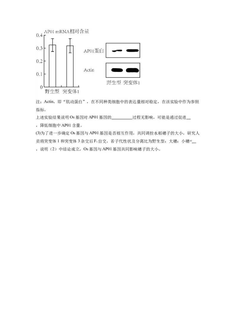 黄金卷07（考试版）-赢在高考&middot;黄金8卷备战2024年高考生物模拟卷（天津专用）_2024年新高考资料_4.2024高考模拟预测试卷