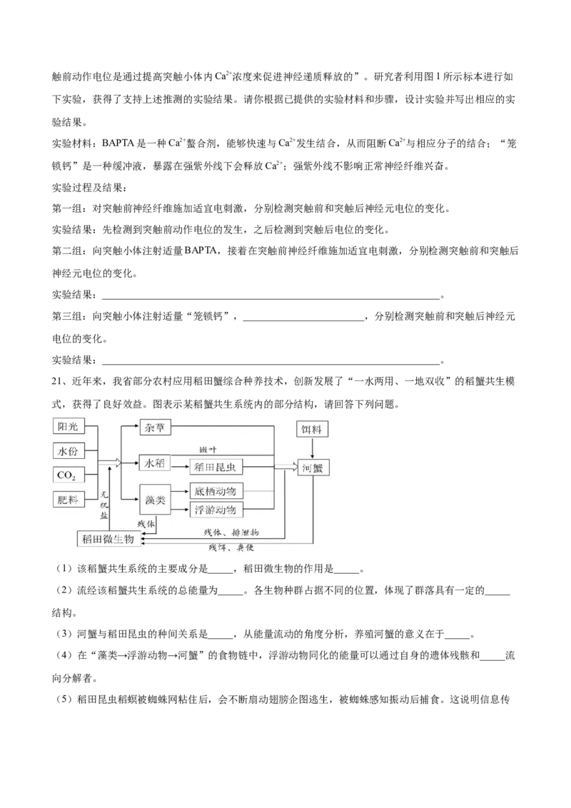 黄金卷05（考试版）-赢在高考&middot;黄金8卷备战2024年高考生物模拟卷（河北专用）_2024年新高考资料_4.2024高考模拟预测试卷