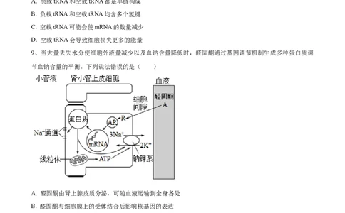 黄金卷05（考试版）-赢在高考&middot;黄金8卷备战2024年高考生物模拟卷（河北专用）_2024年新高考资料_4.2024高考模拟预测试卷