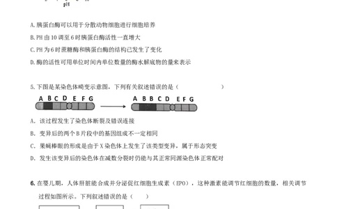 黄金卷04（考试版）-赢在高考&middot;黄金8卷备战2024年高考生物模拟卷（广东专用）_2024年新高考资料_4.2024高考模拟预测试卷