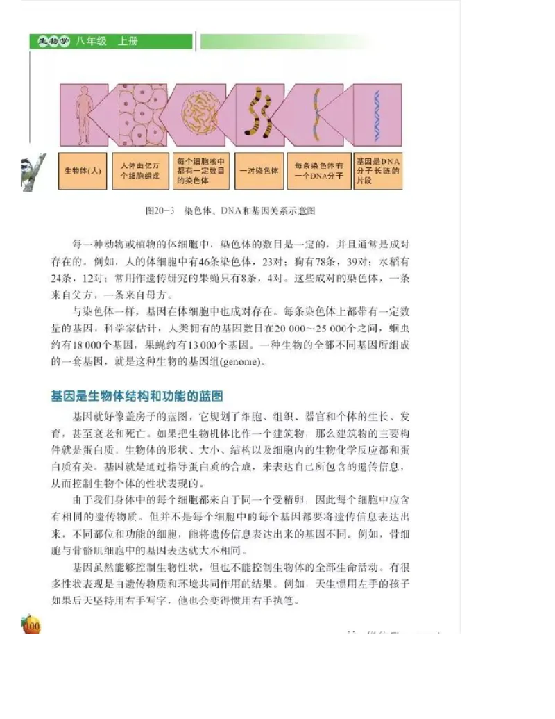 北师大版初中生物8年级上册电子课本_初中电子课本_9.生物_北师大版