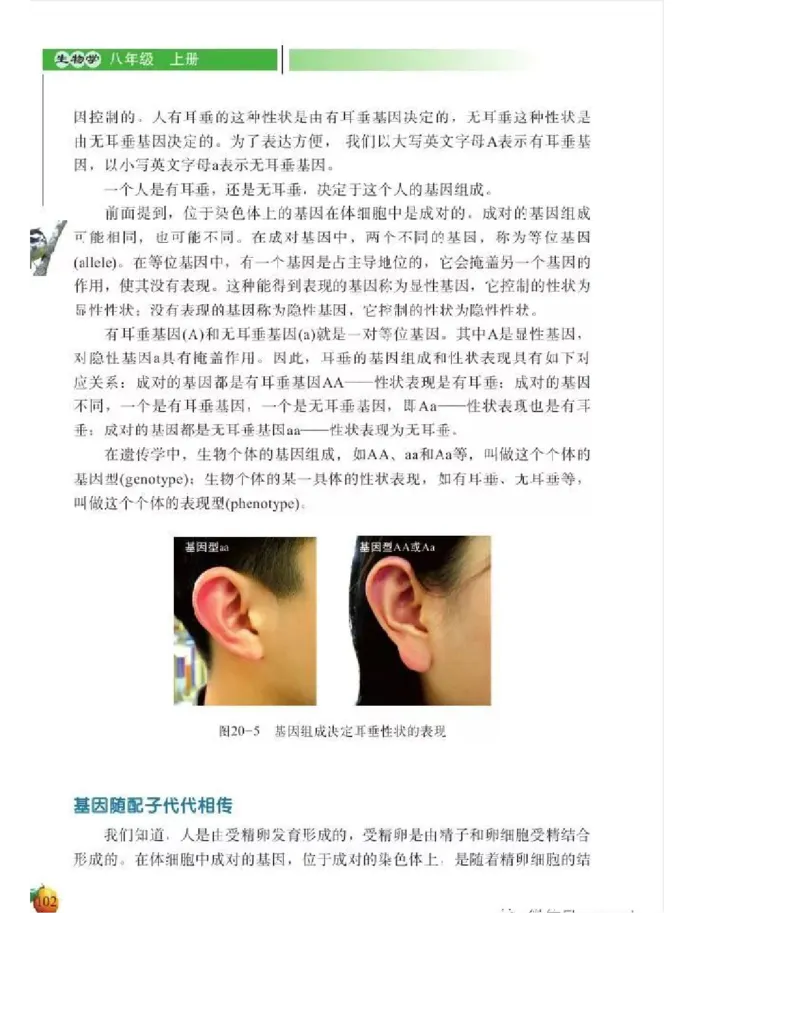 北师大版初中生物8年级上册电子课本_初中电子课本_9.生物_北师大版