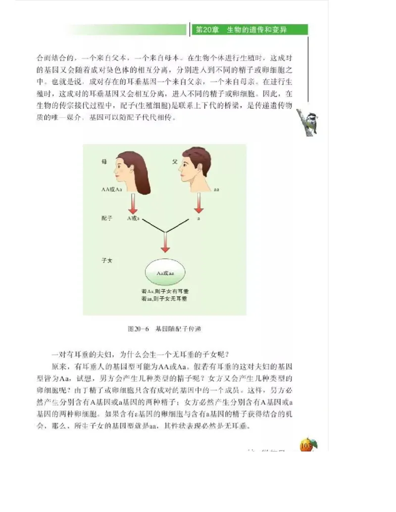 北师大版初中生物8年级上册电子课本_初中电子课本_9.生物_北师大版