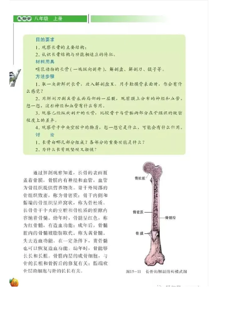 北师大版初中生物8年级上册电子课本_初中电子课本_9.生物_北师大版