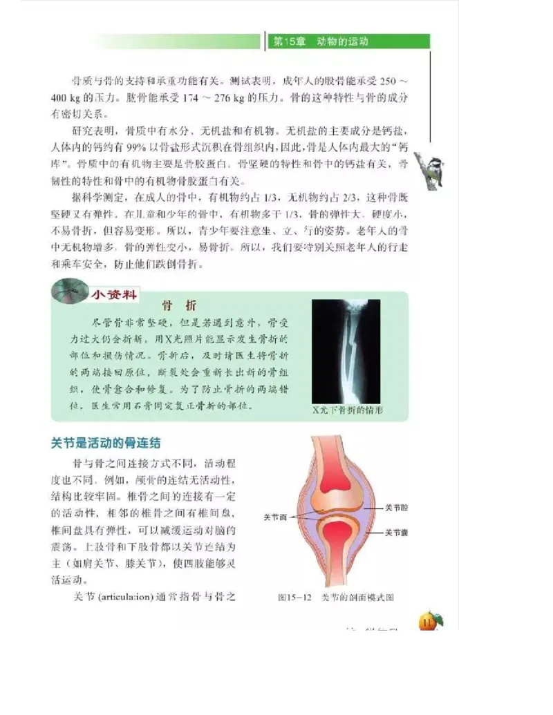 北师大版初中生物8年级上册电子课本_初中电子课本_9.生物_北师大版