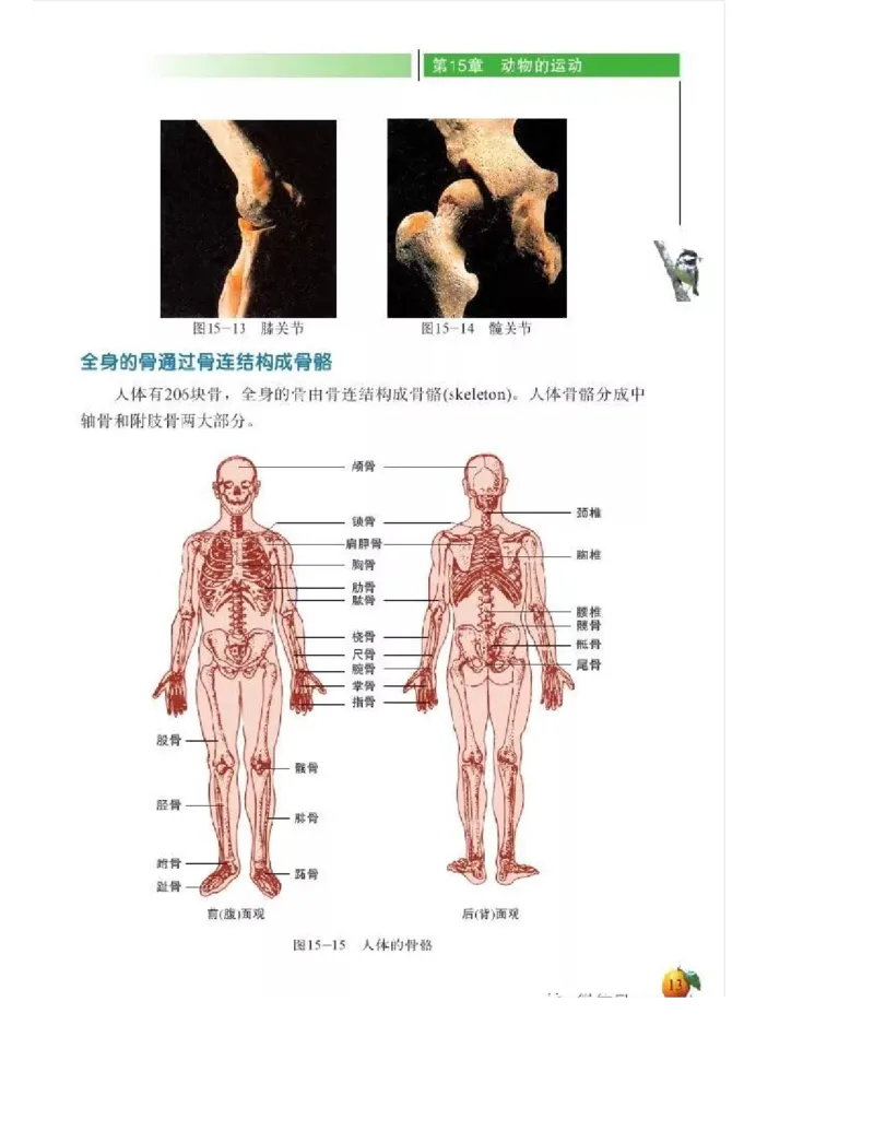 北师大版初中生物8年级上册电子课本_初中电子课本_9.生物_北师大版