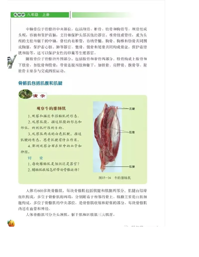 北师大版初中生物8年级上册电子课本_初中电子课本_9.生物_北师大版