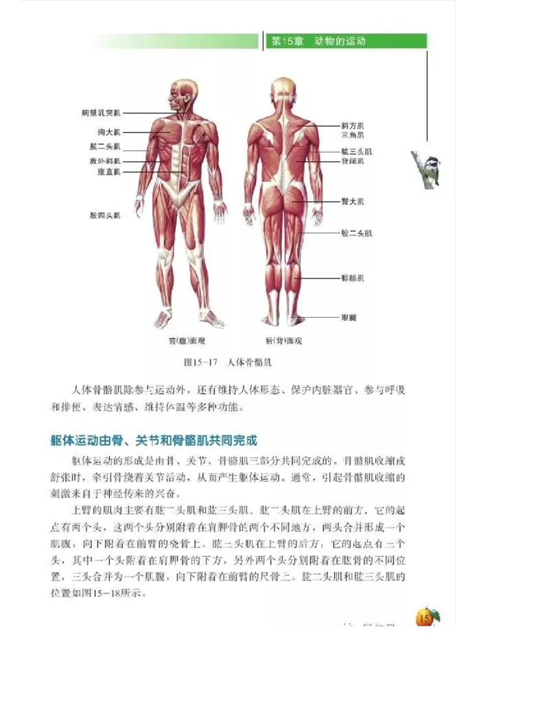 北师大版初中生物8年级上册电子课本_初中电子课本_9.生物_北师大版