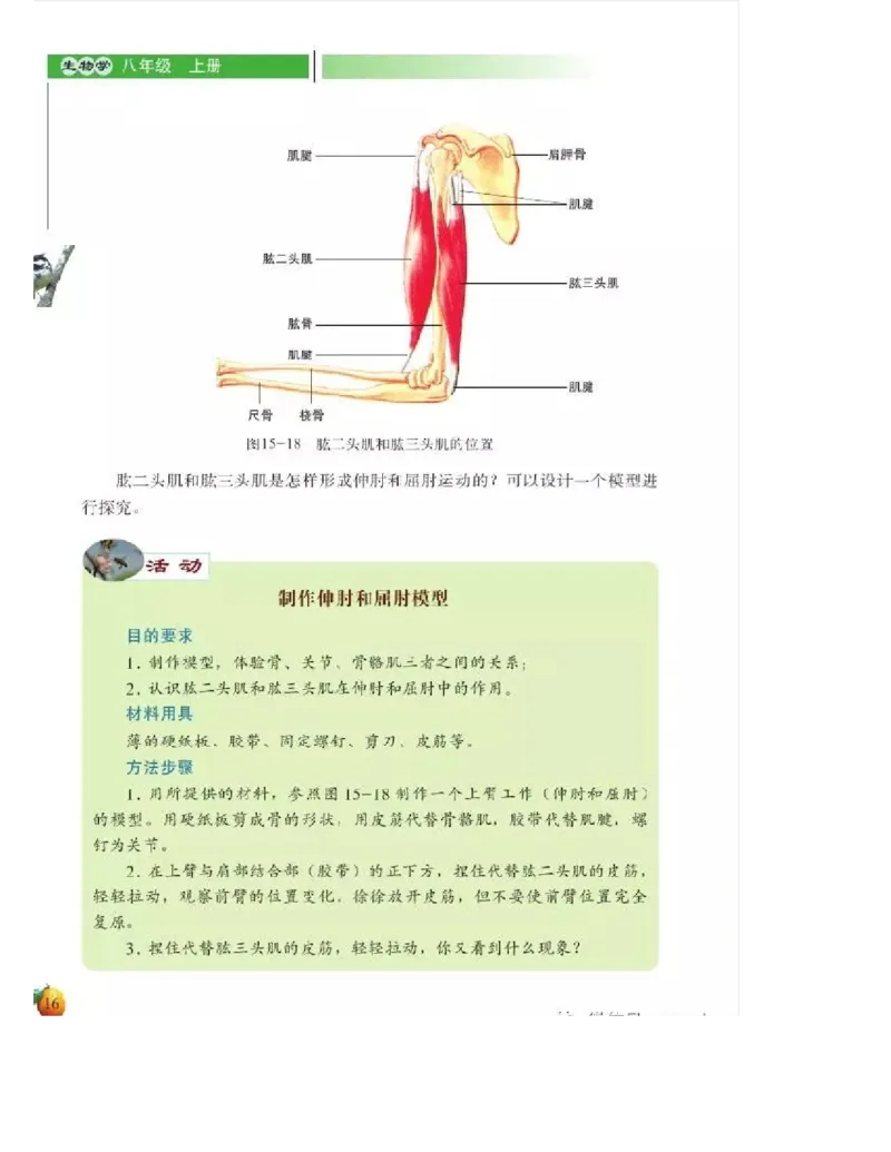 北师大版初中生物8年级上册电子课本_初中电子课本_9.生物_北师大版