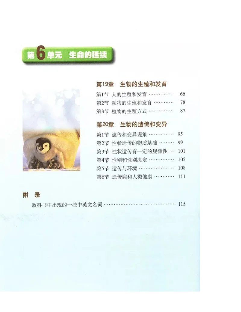 北师大版初中生物8年级上册电子课本_初中电子课本_9.生物_北师大版