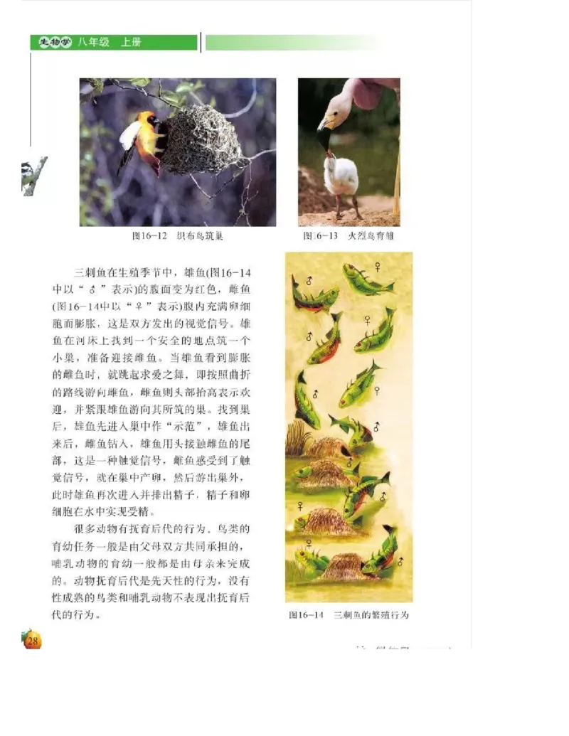 北师大版初中生物8年级上册电子课本_初中电子课本_9.生物_北师大版