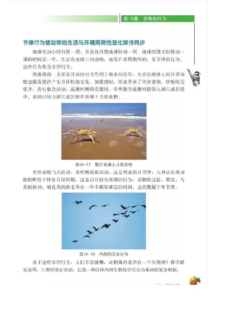 北师大版初中生物8年级上册电子课本_初中电子课本_9.生物_北师大版
