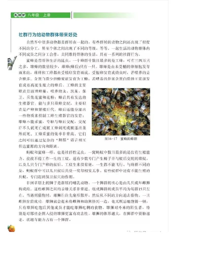 北师大版初中生物8年级上册电子课本_初中电子课本_9.生物_北师大版