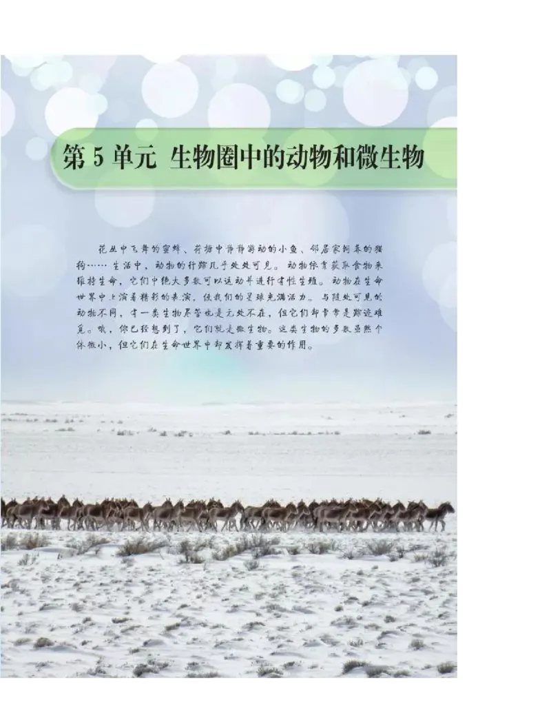 北师大版初中生物8年级上册电子课本_初中电子课本_9.生物_北师大版
