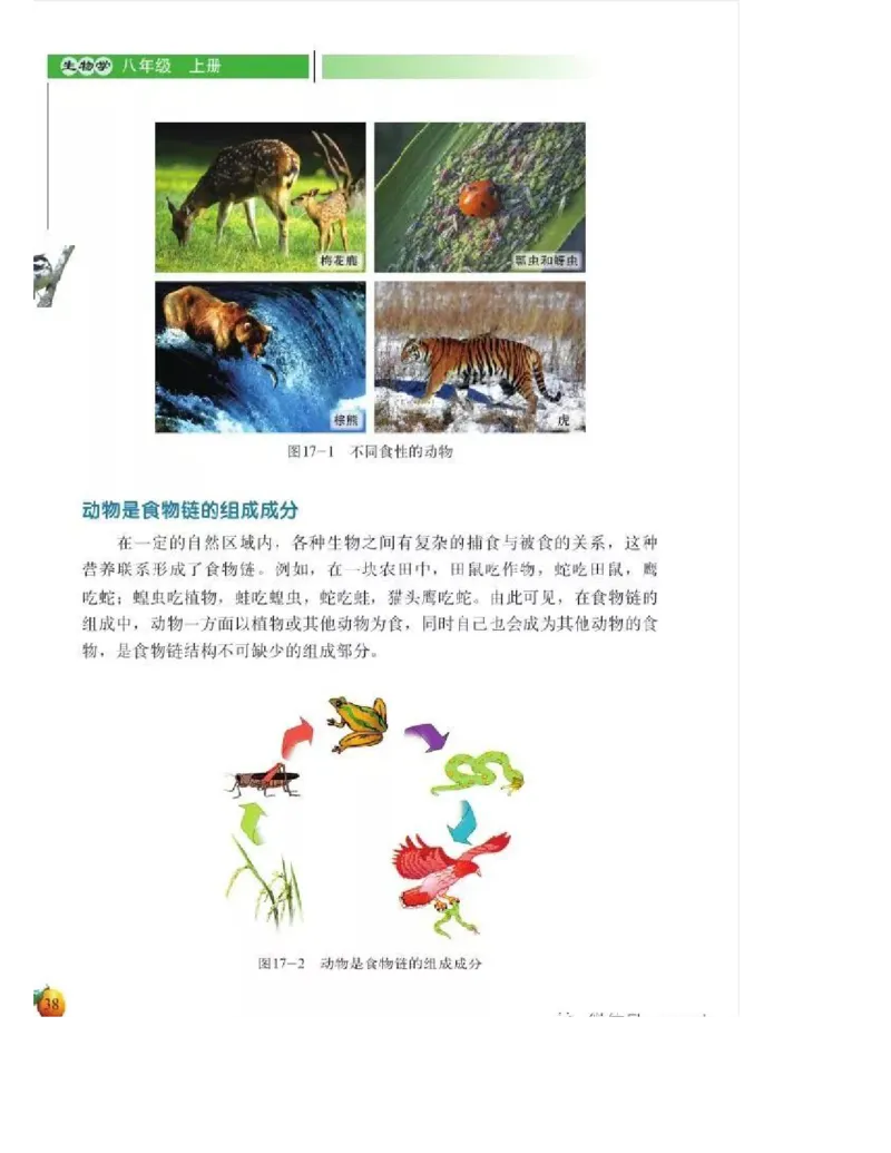 北师大版初中生物8年级上册电子课本_初中电子课本_9.生物_北师大版