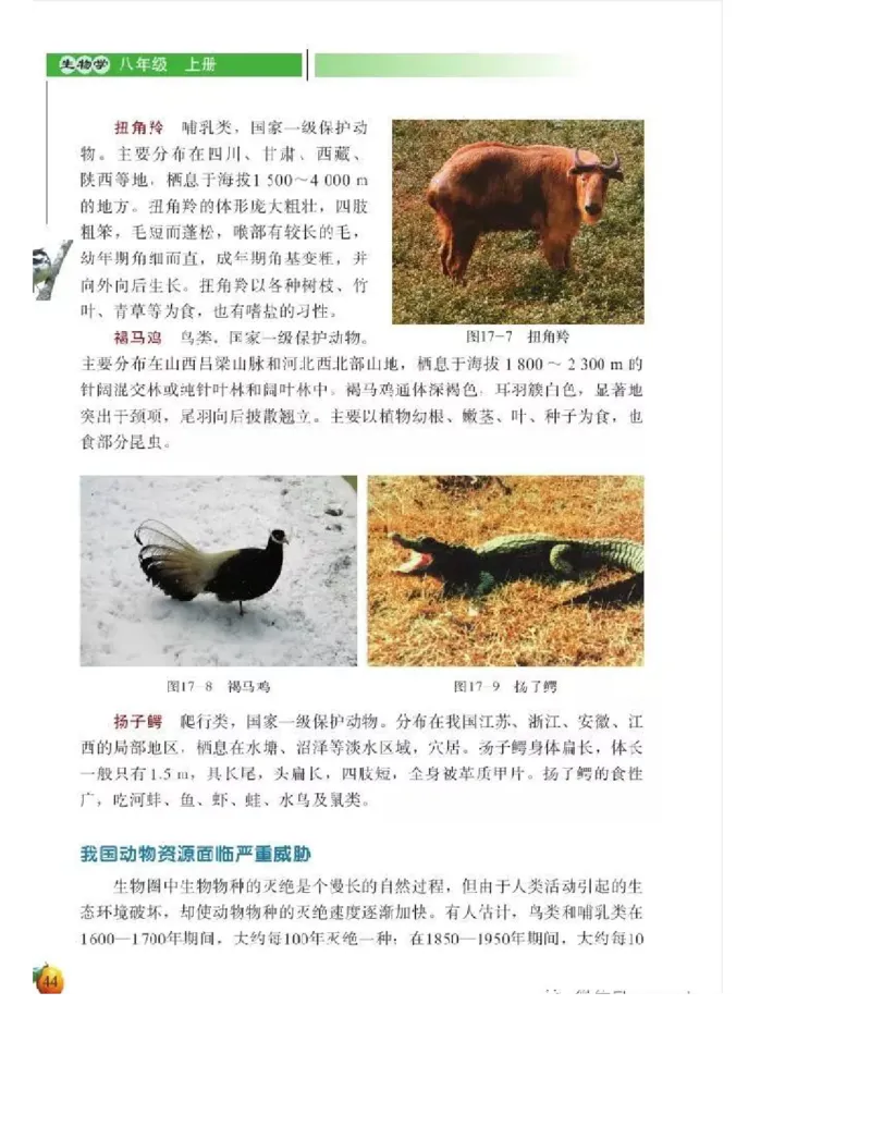 北师大版初中生物8年级上册电子课本_初中电子课本_9.生物_北师大版