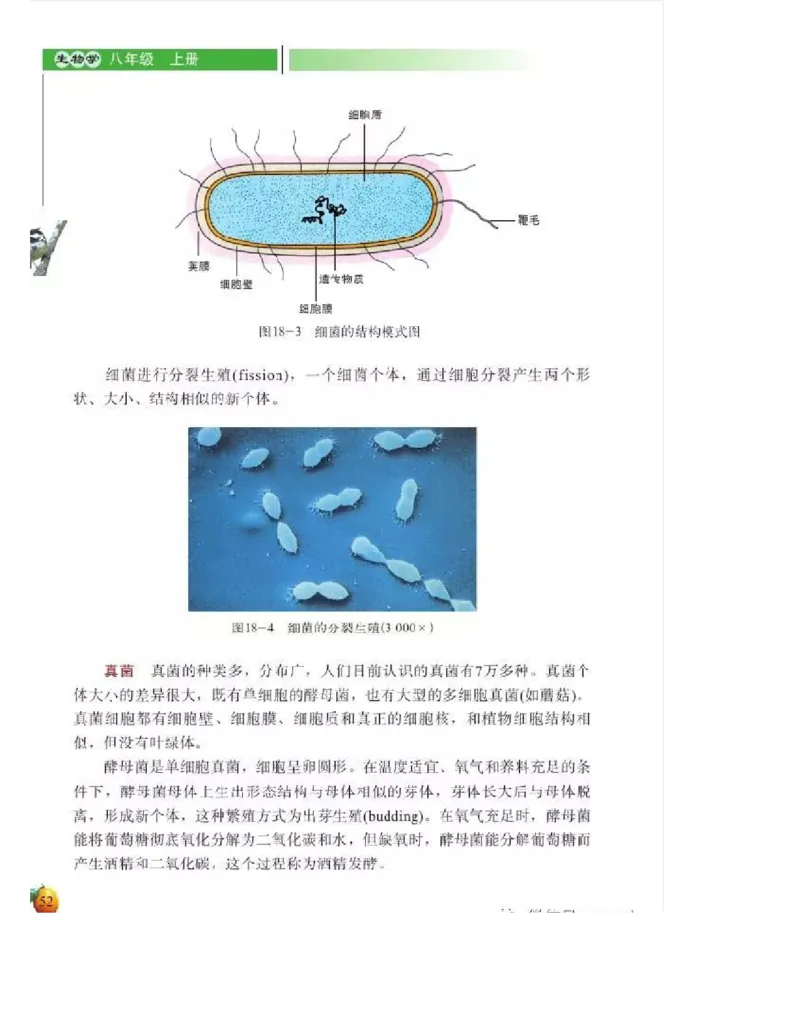 北师大版初中生物8年级上册电子课本_初中电子课本_9.生物_北师大版