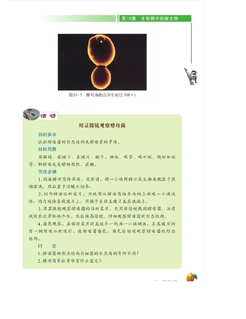 北师大版初中生物8年级上册电子课本_初中电子课本_9.生物_北师大版