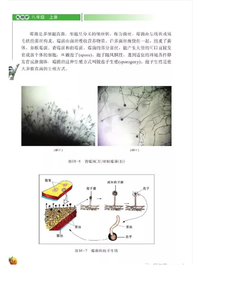 北师大版初中生物8年级上册电子课本_初中电子课本_9.生物_北师大版