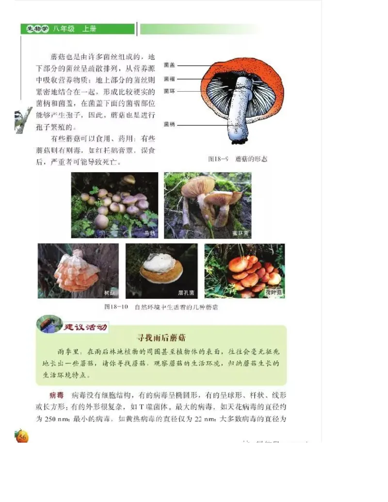 北师大版初中生物8年级上册电子课本_初中电子课本_9.生物_北师大版