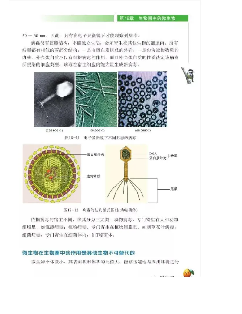 北师大版初中生物8年级上册电子课本_初中电子课本_9.生物_北师大版