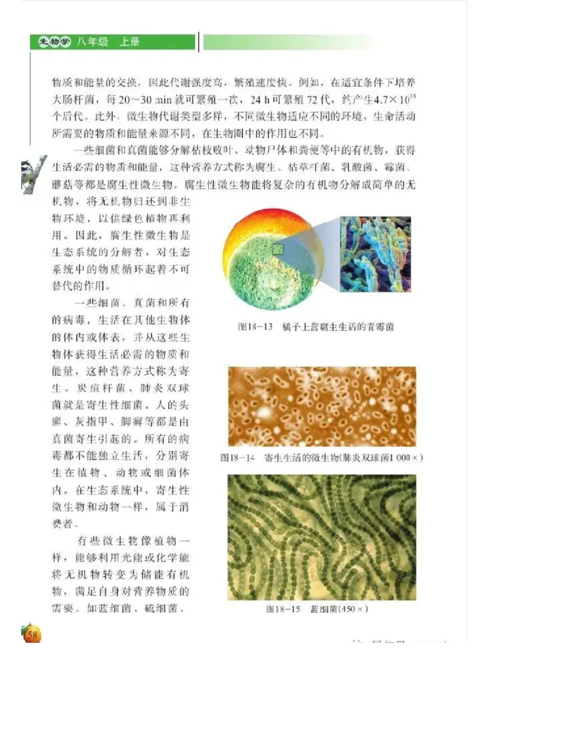 北师大版初中生物8年级上册电子课本_初中电子课本_9.生物_北师大版
